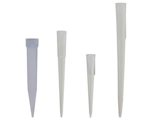 Disposable Economy Micropipette Tips