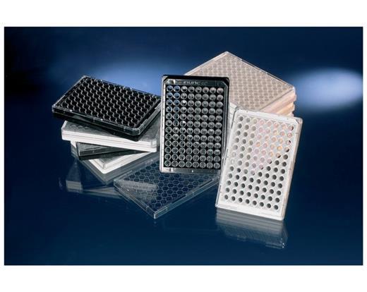 Flat coverglass bottom Microwell Microplate